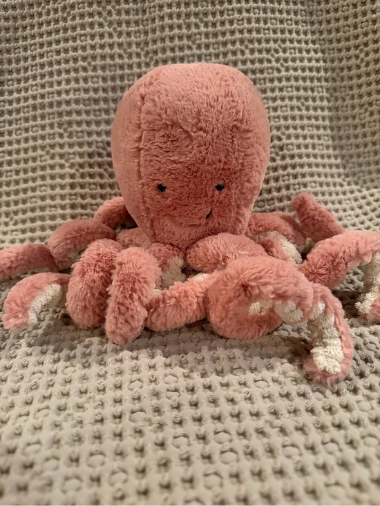 Jellycat Other - Jellycat Little Odell Octopus